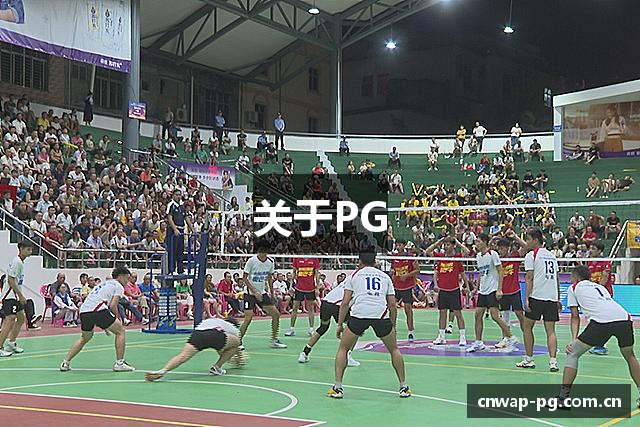 关于PG